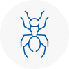 Ant Removals In Heanor