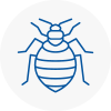 Bed Bug Extermination In Heanor
