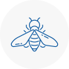 Bee Nest Removal Heanor