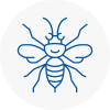 Heanor Hornet Nest Removals
