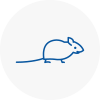 Mice Exterminators In Heanor