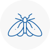 Moth Control Specialists In Heanor