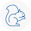 Heanor Rodent Removals